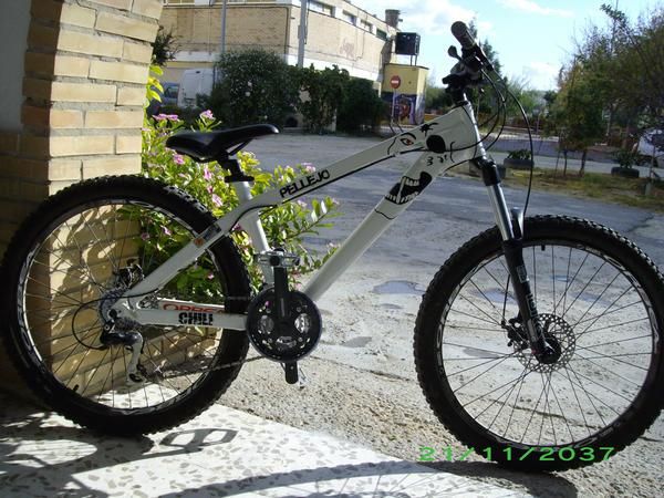 Orbea Chili Dual, DH light