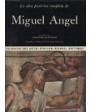 La obra pictórica completa de Miguel Angel