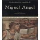 La obra pictórica completa de Miguel Angel - mejor precio | unprecio.es