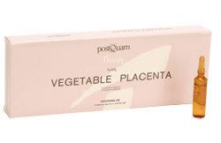 Placenta Vegetal