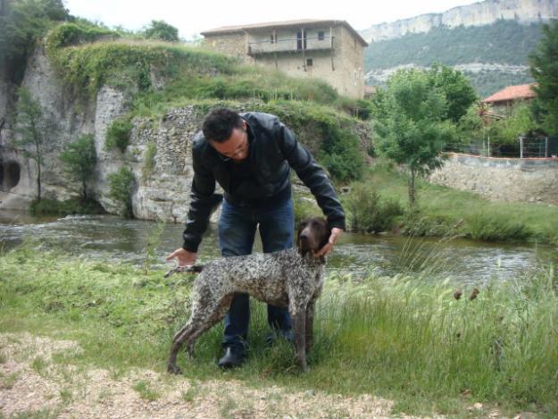 Bracos de Valdeguareña