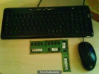 Se venden 3 memorias ram ddr2 de 1gb + teclado y raton Logitech - mejor precio | unprecio.es