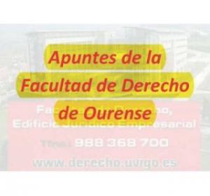 Todos Apuntes Grado Derecho Campus Ourense en CD
