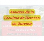 Todos Apuntes Grado Derecho Campus Ourense en CD - mejor precio | unprecio.es