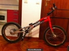 MONTY KAMEL 221 - mejor precio | unprecio.es