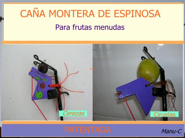 Cañas Monteras para frutas menudas