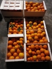 Venta de Naranjas 100% Naturales - mejor precio | unprecio.es