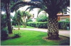 Apartamento : 4/6 personas - cap d'agde herault languedoc-rosellon francia - mejor precio | unprecio.es