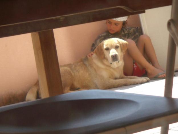 A Doraimon ya no lo quieren¡