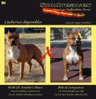 American Stafford's de Soulreaver. - mejor precio | unprecio.es