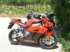 HONDA CBR 1000 RR - mejor precio | unprecio.es