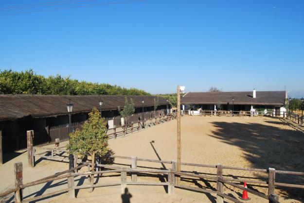 Pupilaje para su caballo en Sevilla