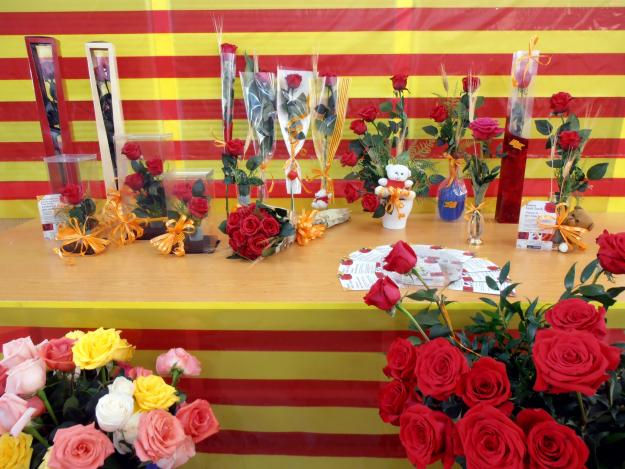 Rosas para Sant Jordi 2013