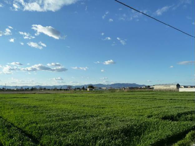 Dolores   - Plot of Land - Dolores - CG14024     - €99995€