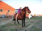 SE VENDE PONY ASTURCON - mejor precio | unprecio.es