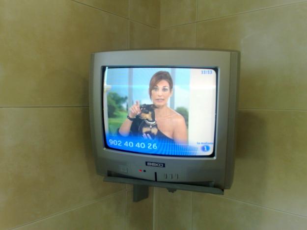 VENDO TELEVISOR 14¨  PLATA  Y  DE  REGALO EL SOPORTE PLATA.