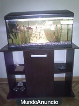 acuario con peces y mueble wengue