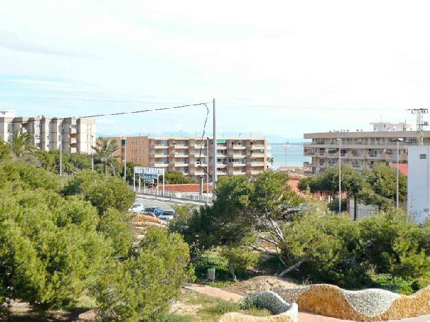 Apartamento en Guardamar del Segura