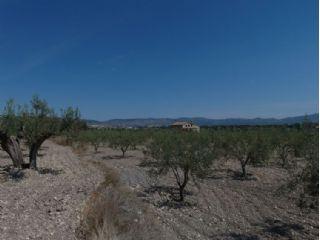 Terreno/Finca Rstica en venta en Castalla, Alicante (Costa Blanca)