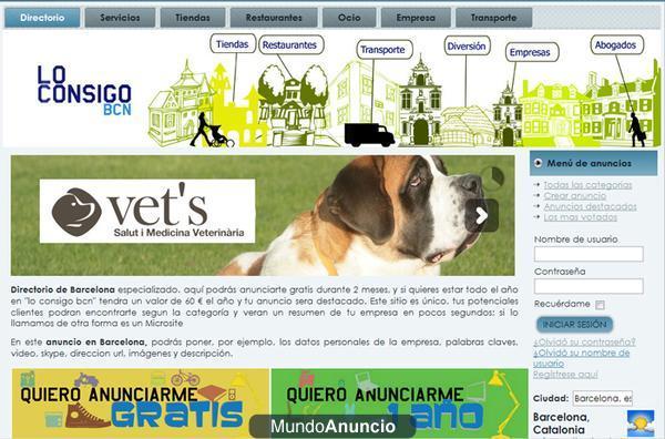 VENDO MI SITIO WEB Y LA IDEA