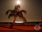 Apto. Piso en Tenerife - mejor precio | unprecio.es