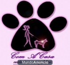 Com A Casa (Las Canguro Para tu Mascota) (Residencia-Guardería-Cuidadoras) - mejor precio | unprecio.es