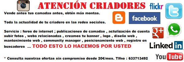 Para criadores tentaderos ganadería obtén mas influencia