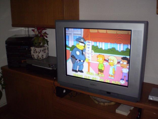 VENDO TELEVISOR THOMSON 29