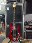 Musicman Stingray R Trans Red 4 cuerdas Año 2005 con maleta original Musicman - mejor precio | unprecio.es