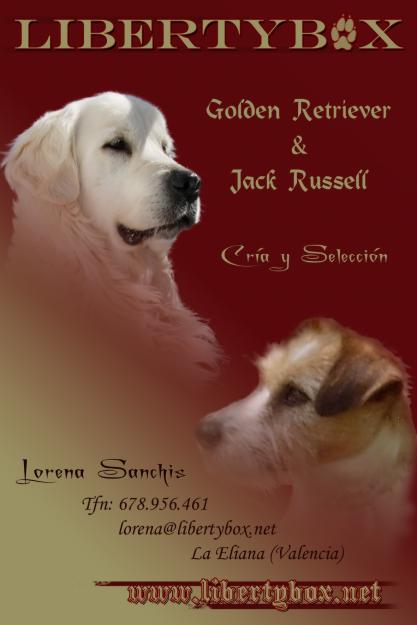 Cria y Alta selección del Jack Russell Terrier de LIBERTYBOX