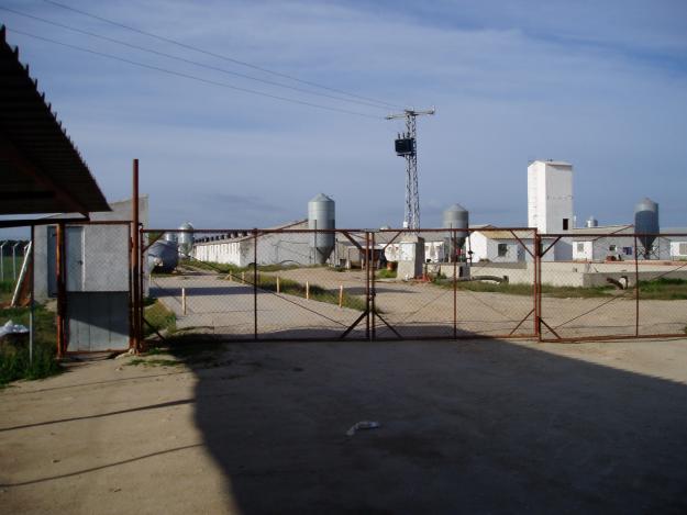 Venta granja porcina ciclo cerrado para 650 madres