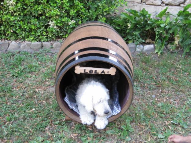 Caseta barril perro