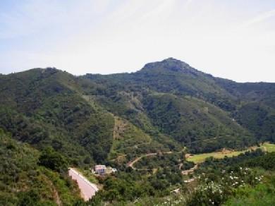 Terreno se vende en Benahavis, Costa del Sol