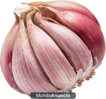 Venta de ajo morado manchego totalmente ecológico