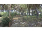 Terreno/Finca Rstica en venta en Begur, Girona (Costa Brava) - mejor precio | unprecio.es