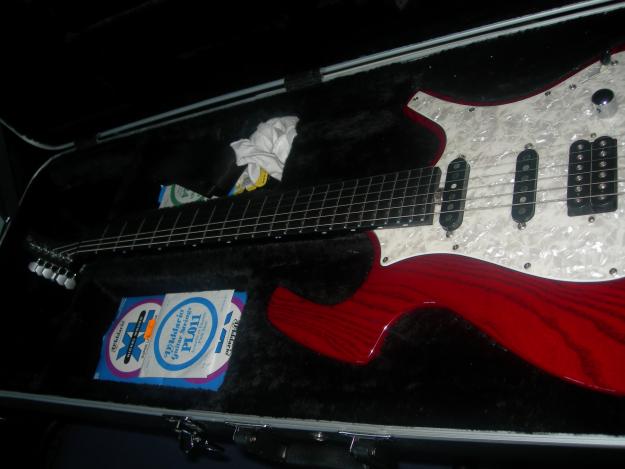 Se vende Guitarra Parker nitelfly SA