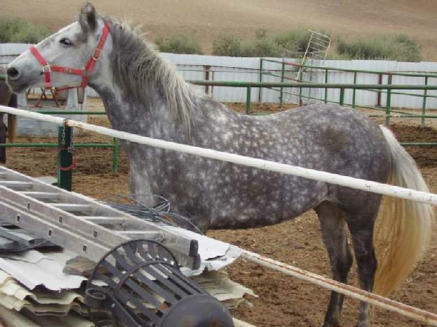 Finca rústica en Arganda del Rey