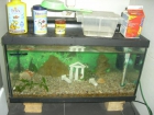 Vendo acuario 60 litros. - mejor precio | unprecio.es