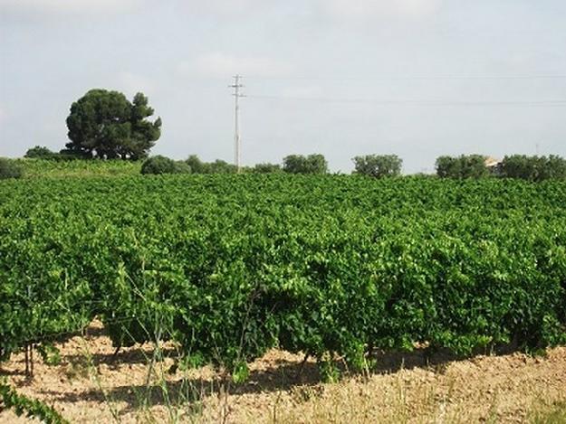 Finca rústica en Barcelona