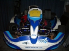 se vende kart AMV X30 - mejor precio | unprecio.es