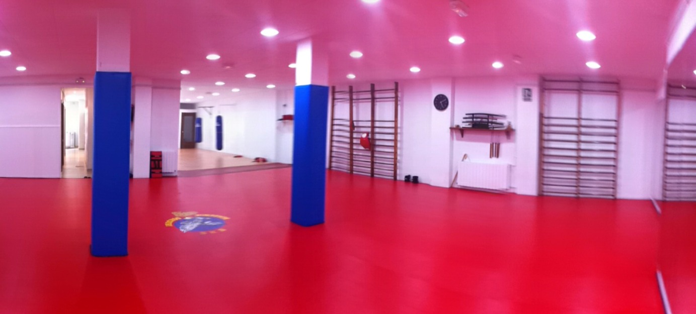 Material de gimnasio de artes marciales