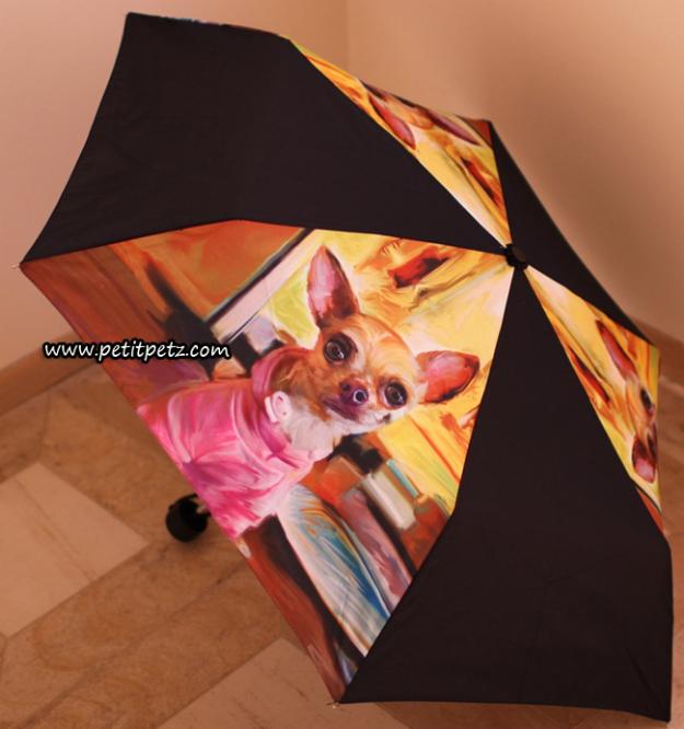 Paraguas raza chihuahua