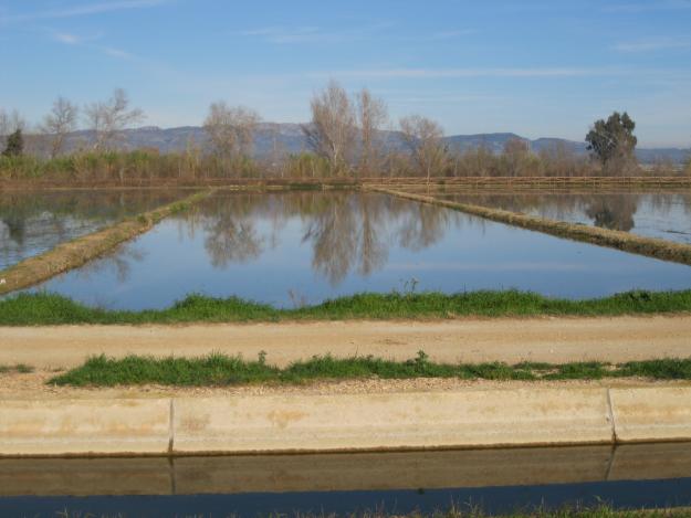 Carretera de Balada