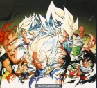 DRAGON BALL EN GALLEGO - mejor precio | unprecio.es