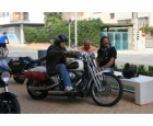 HARLEY DAVIDSON FXSTS - FXSTSI SPRINGER SOFTAIL - mejor precio | unprecio.es