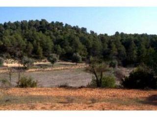 Finca/Casa Rural en venta en Lledó, Teruel