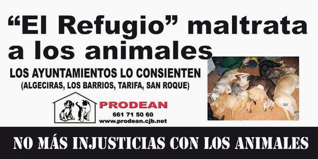 EN LAS PERRERAS ESPAÑOLAS ESTAN ASESINANDO CIENTOS DE ANIMALES SEMANALMENTE....