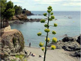 Apartamento en venta en Llançà, Girona (Costa Brava)