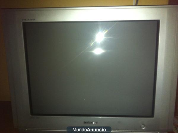 Vendo TV SAMSUNG tubo 29\