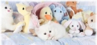 Tenemos cachorros adorables para la Navidad de regalo. - mejor precio | unprecio.es